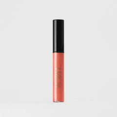 Lip Gloss Wand – Vegan Shine & Color-Rich Moisturizing | Puzzle Makeup